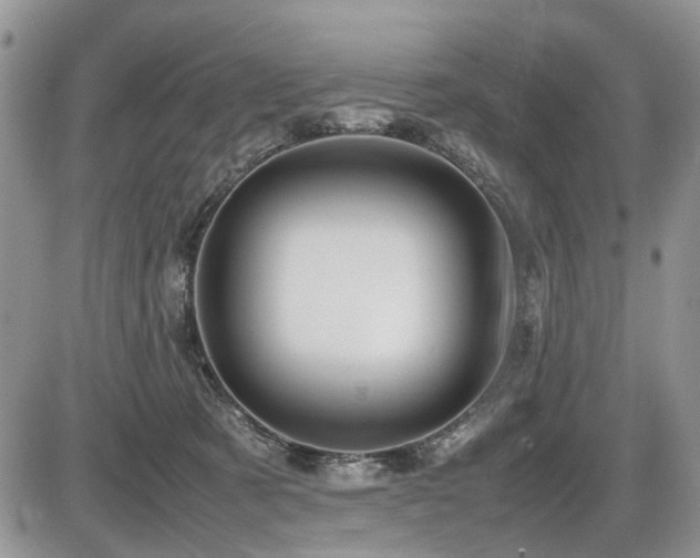 X0000086080321200703231411