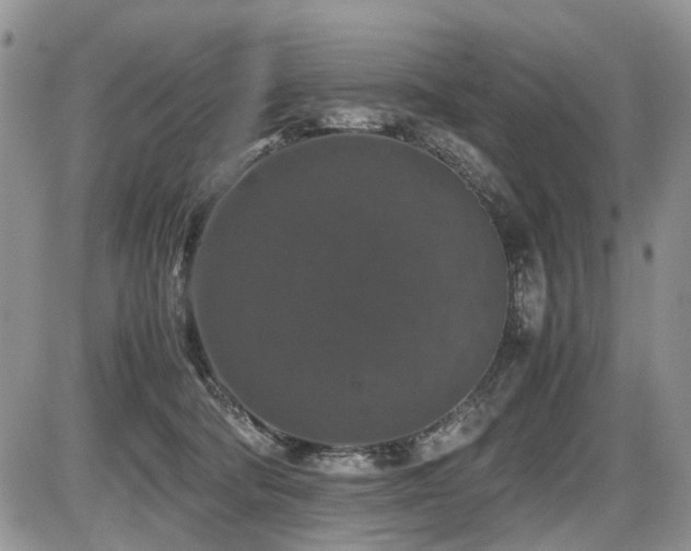 X0000086080322200703231411