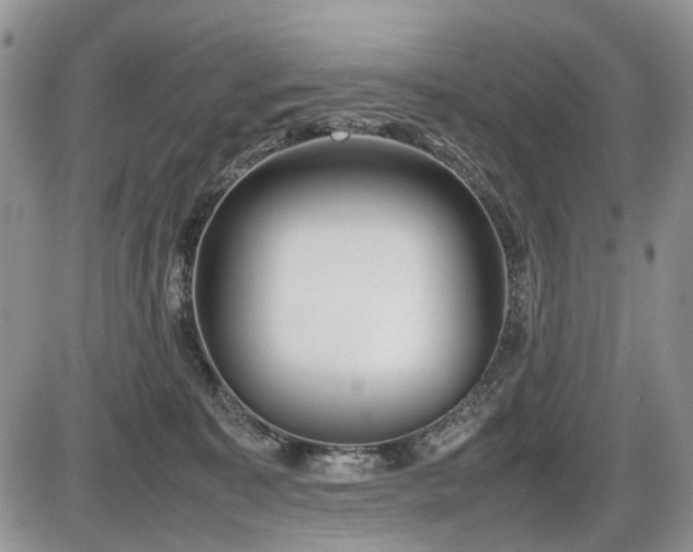 X0000086080323200703231411