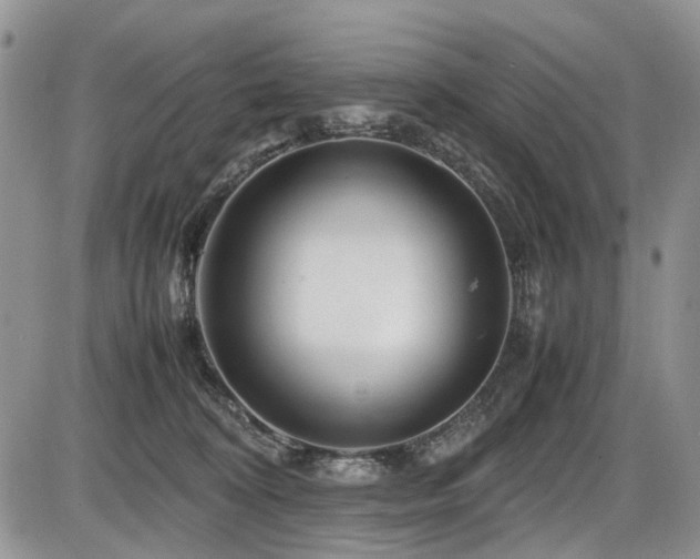 X0000086080324200703231411