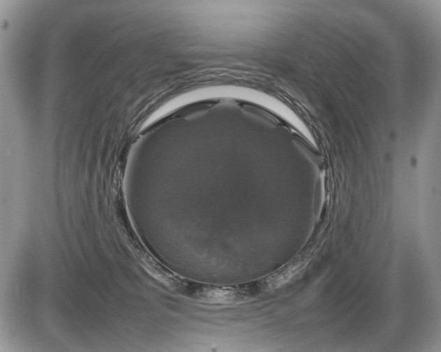 X0000086080325200703231411