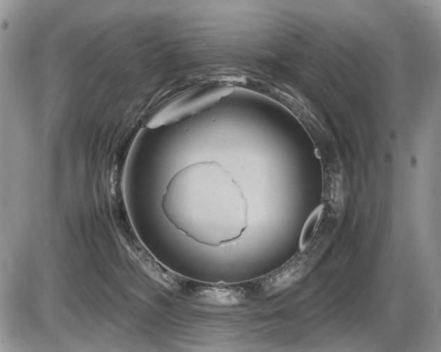 X0000086080326200703231411