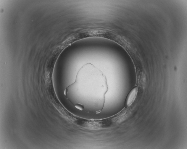 X0000086080327200703231411