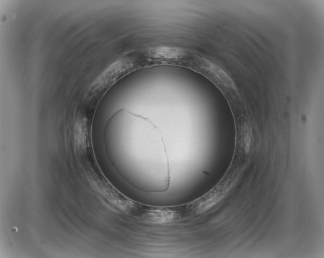 X0000086080328200703231411