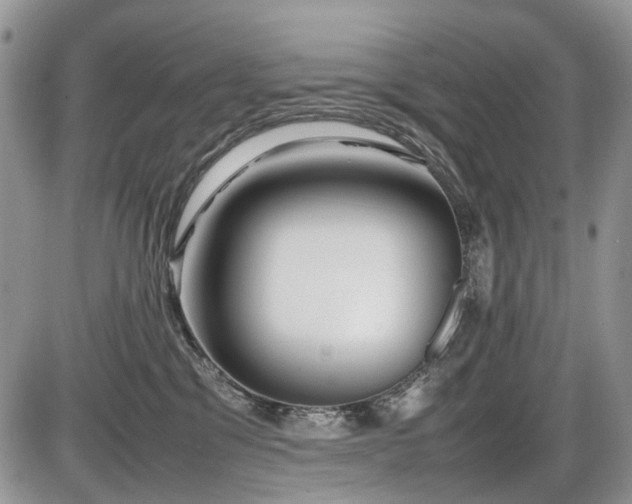 X0000086080329200703231411