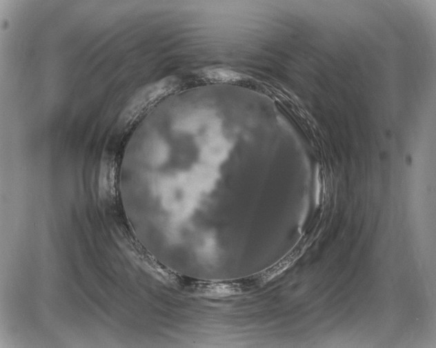 X0000086080330200703231411