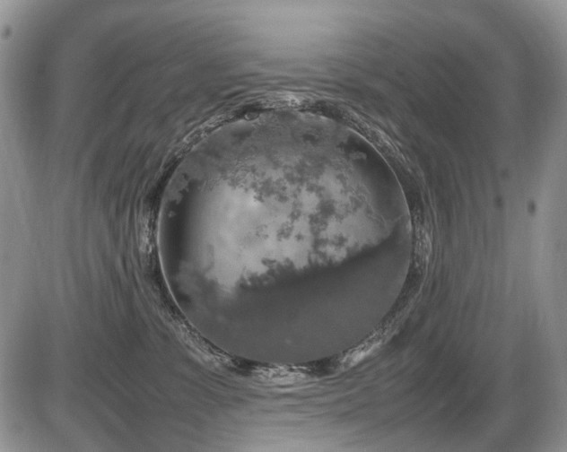 X0000086080331200703231411