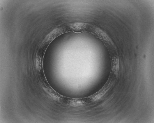 X0000086080332200703231411