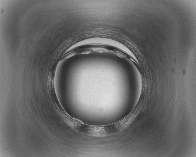 X0000086080333200703231411