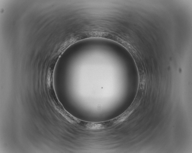 X0000086080334200703231411