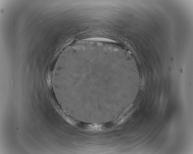 X0000086080335200703231411