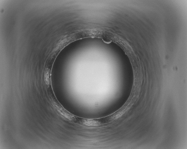 X0000086080336200703231411