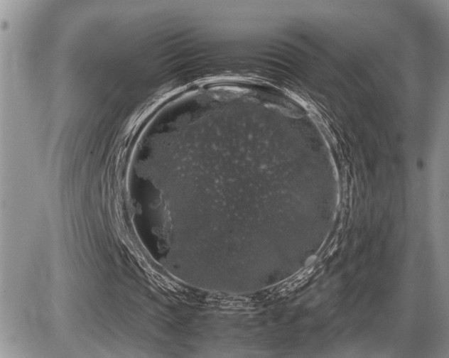 X0000086080337200703231410