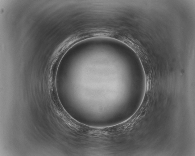 X0000086080339200703231410