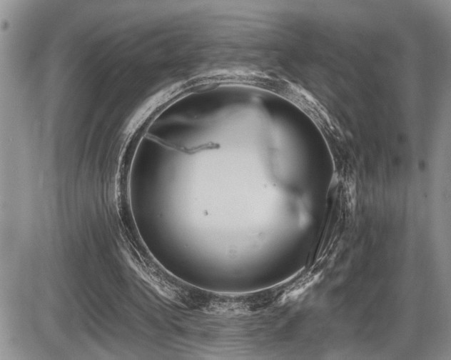 X0000086080340200703231410