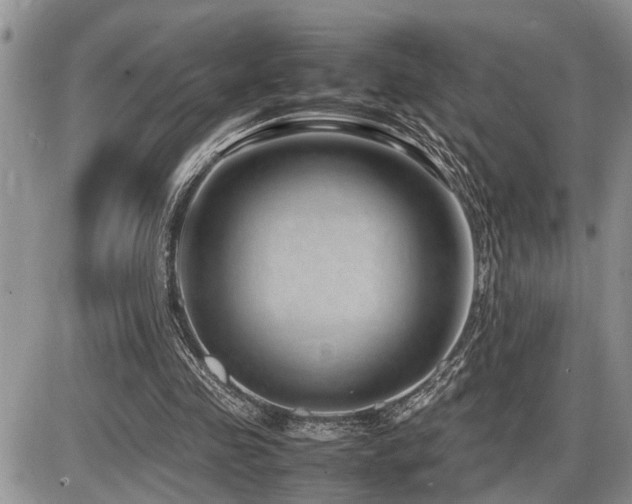 X0000086080341200703231410