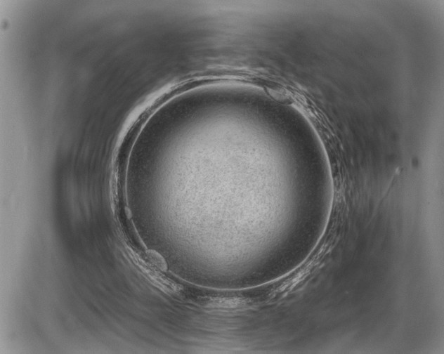 X0000086080342200703231410