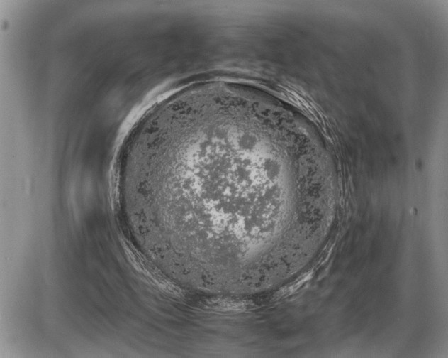 X0000086080343200703231410