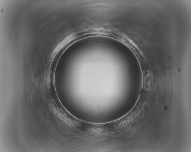 X0000086080344200703231410