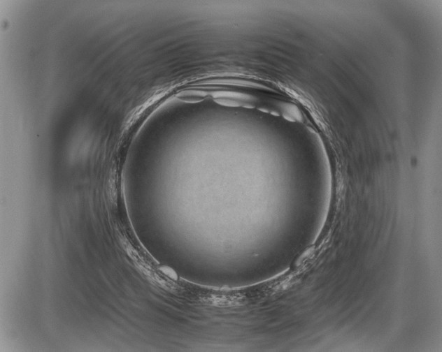 X0000086080345200703231410