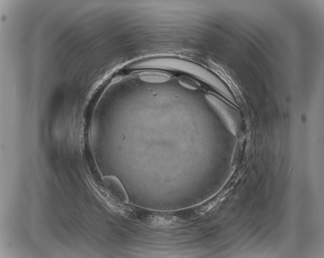 X0000086080346200703231410