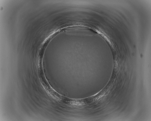 X0000086080347200703231410