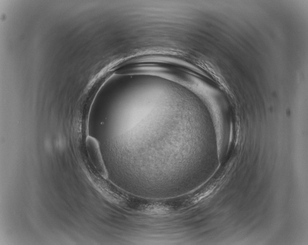 X0000086080348200703231410