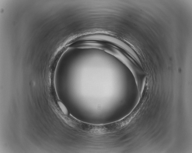 X0000086080350200703231410