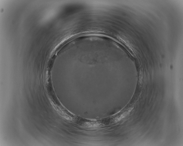 X0000086080351200703231410