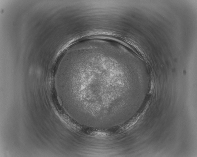 X0000086080352200703231410