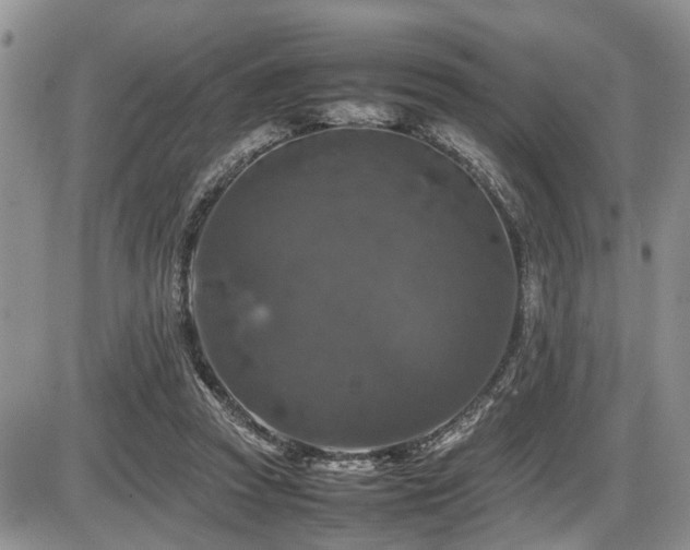 X0000086080353200703231410