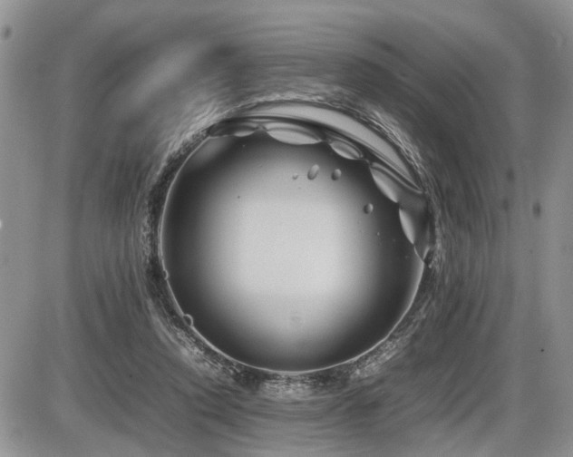 X0000086080354200703231410