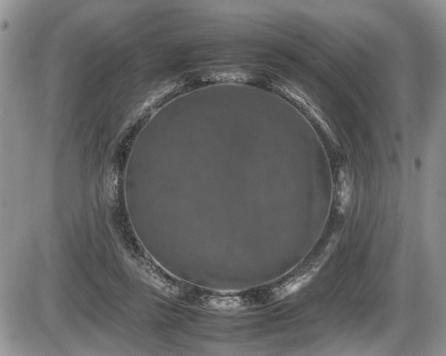 X0000086080355200703231410