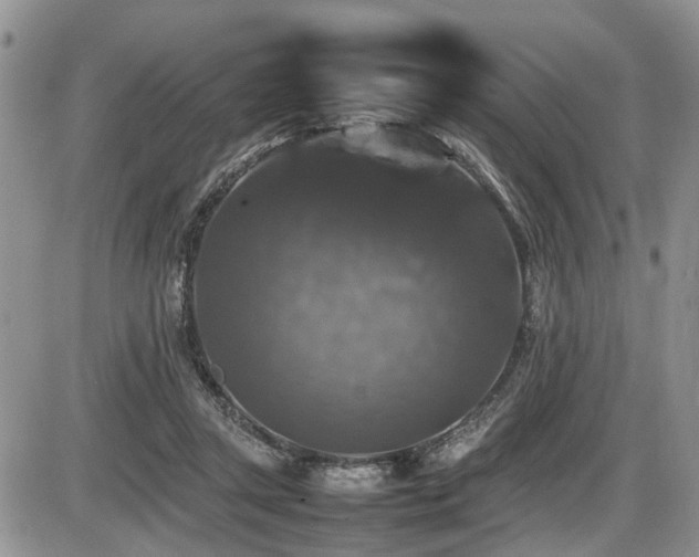 X0000086080357200703231410