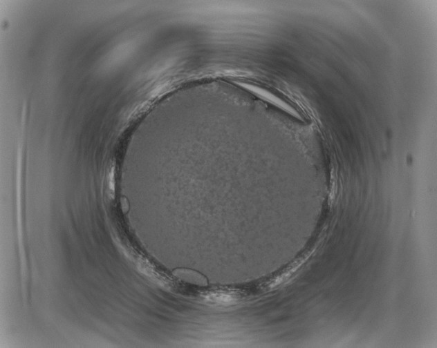 X0000086080358200703231410