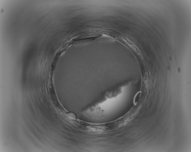 X0000086080359200703231410