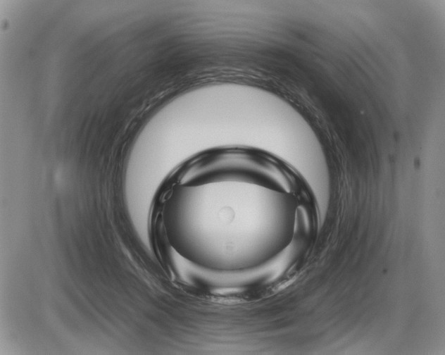 X0000086080360200703231410