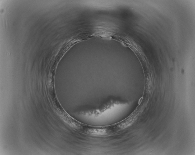 X0000086080361200703231410