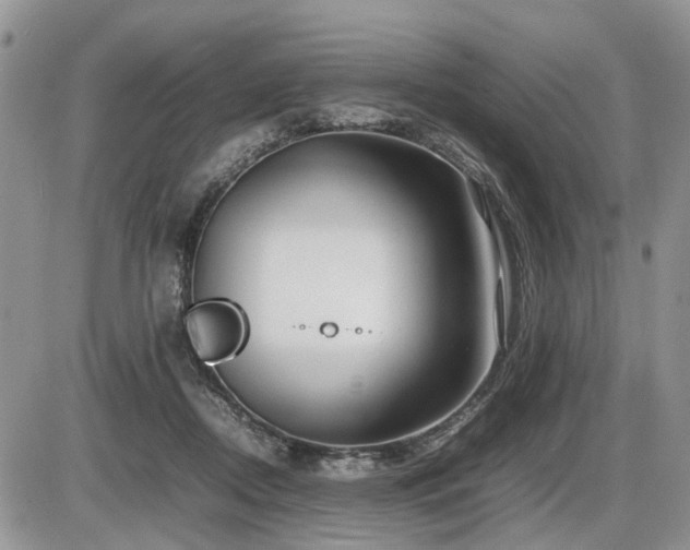 X0000086080362200703231410