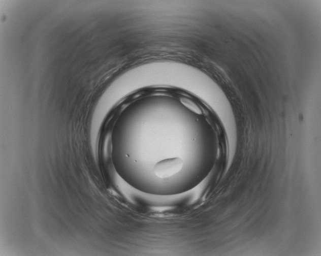 X0000086080364200703231411