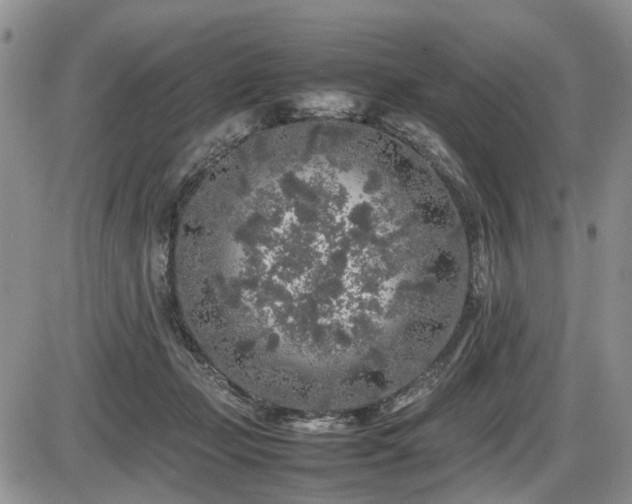 X0000086080365200703231411