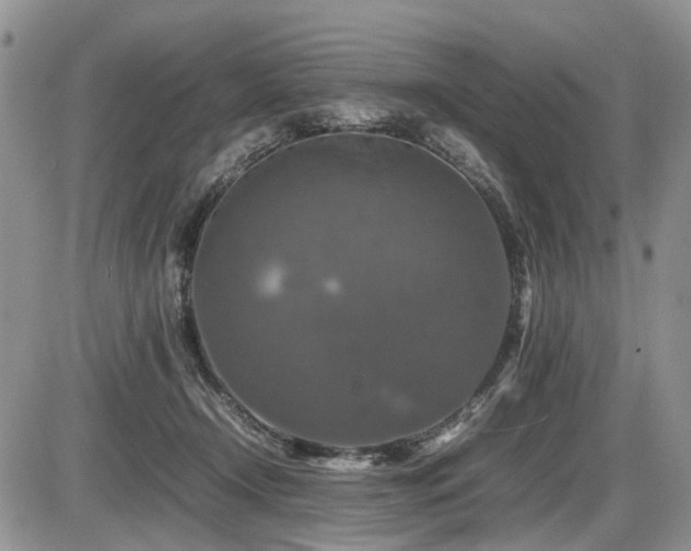 X0000086080366200703231411