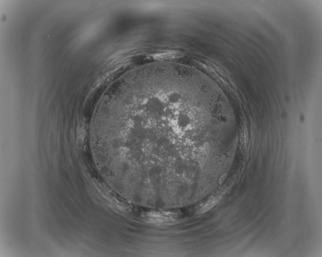 X0000086080367200703231411