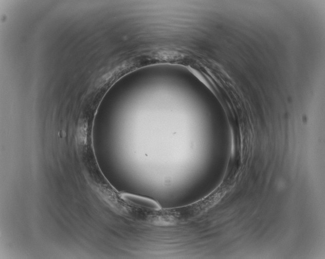 X0000086080368200703231411