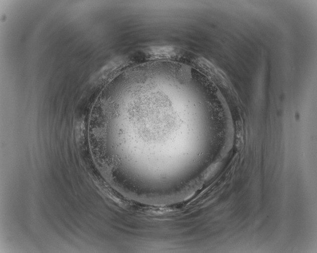 X0000086080369200703231411