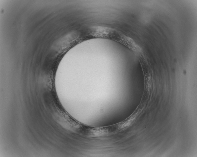 X0000086080370200703231411