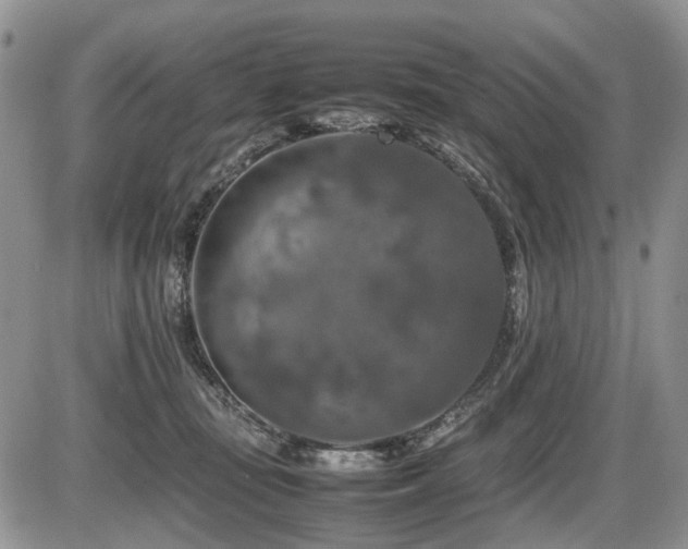 X0000086080371200703231411