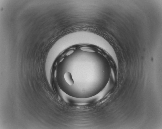 X0000086080372200703231411