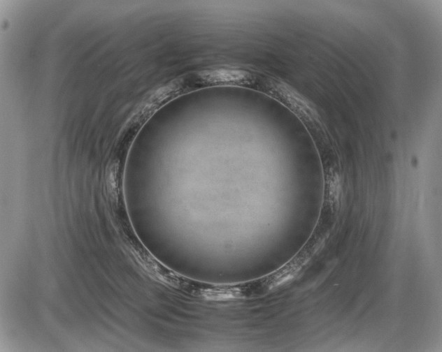 X0000086080373200703231411