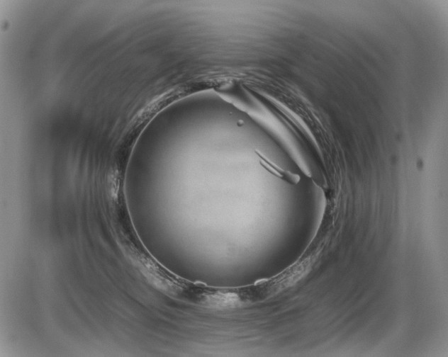 X0000086080374200703231411